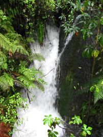 Te wairoa falls
