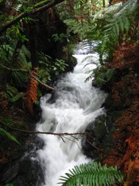 Te wairoa falls
