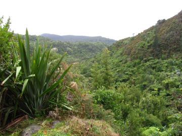 Mt tarawera