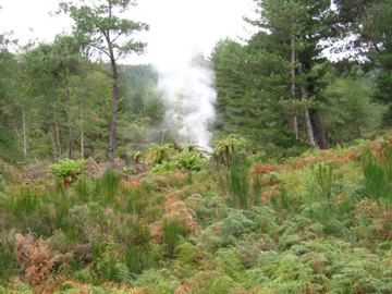 Waiotapu