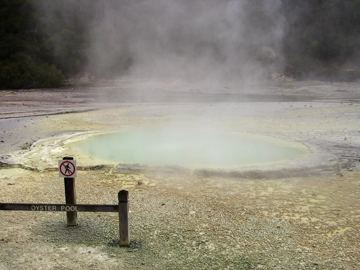 Waiotapu oyster pool