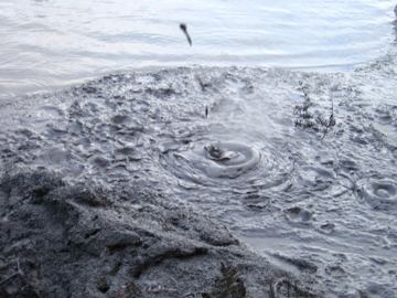 Waiotapu mud pools