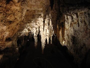 Waitomo cave