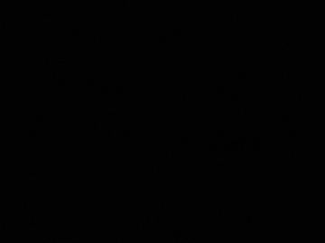 Glowworms