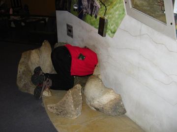 Waitomo museum