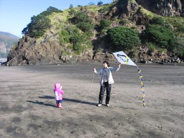 Piha drak