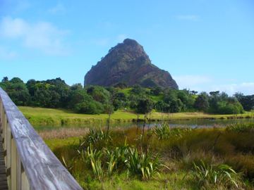 Piha Lion rock