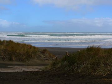 Piha plaz