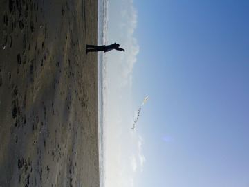 Piha Draci Tai Chi