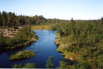 Photo 2-10