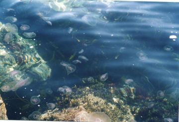 Photo 4-21